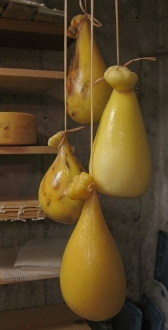 კაჩოკავალო